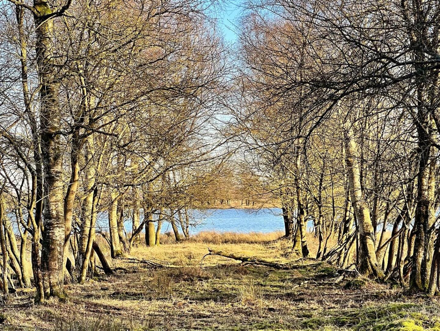 Natuurhuisje Meppen Экстерьер фото