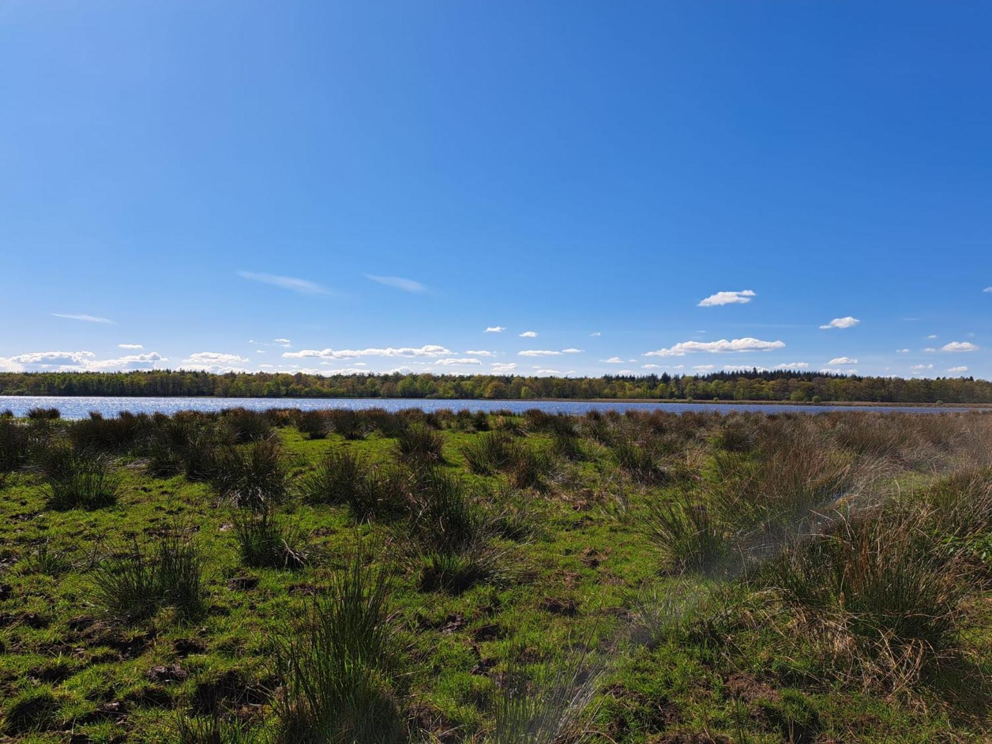 Natuurhuisje Meppen Экстерьер фото