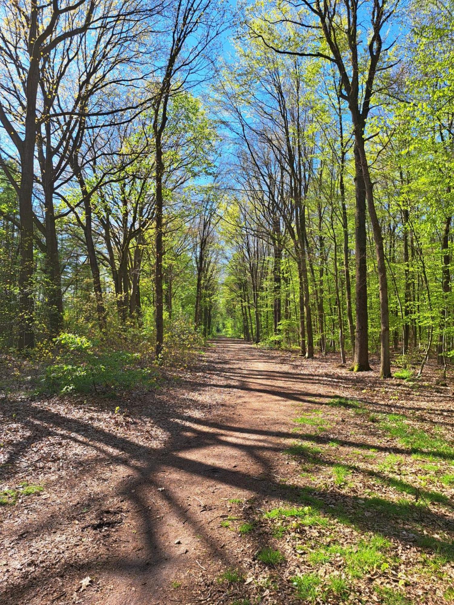 Natuurhuisje Meppen Экстерьер фото